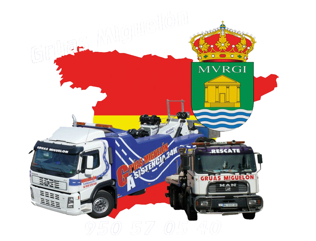 logo gruas miguelon